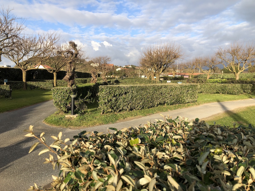 Vue des allées du camping